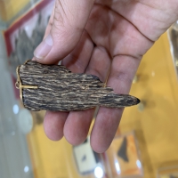 Mặt đeo cổ Mặt đeo cổ